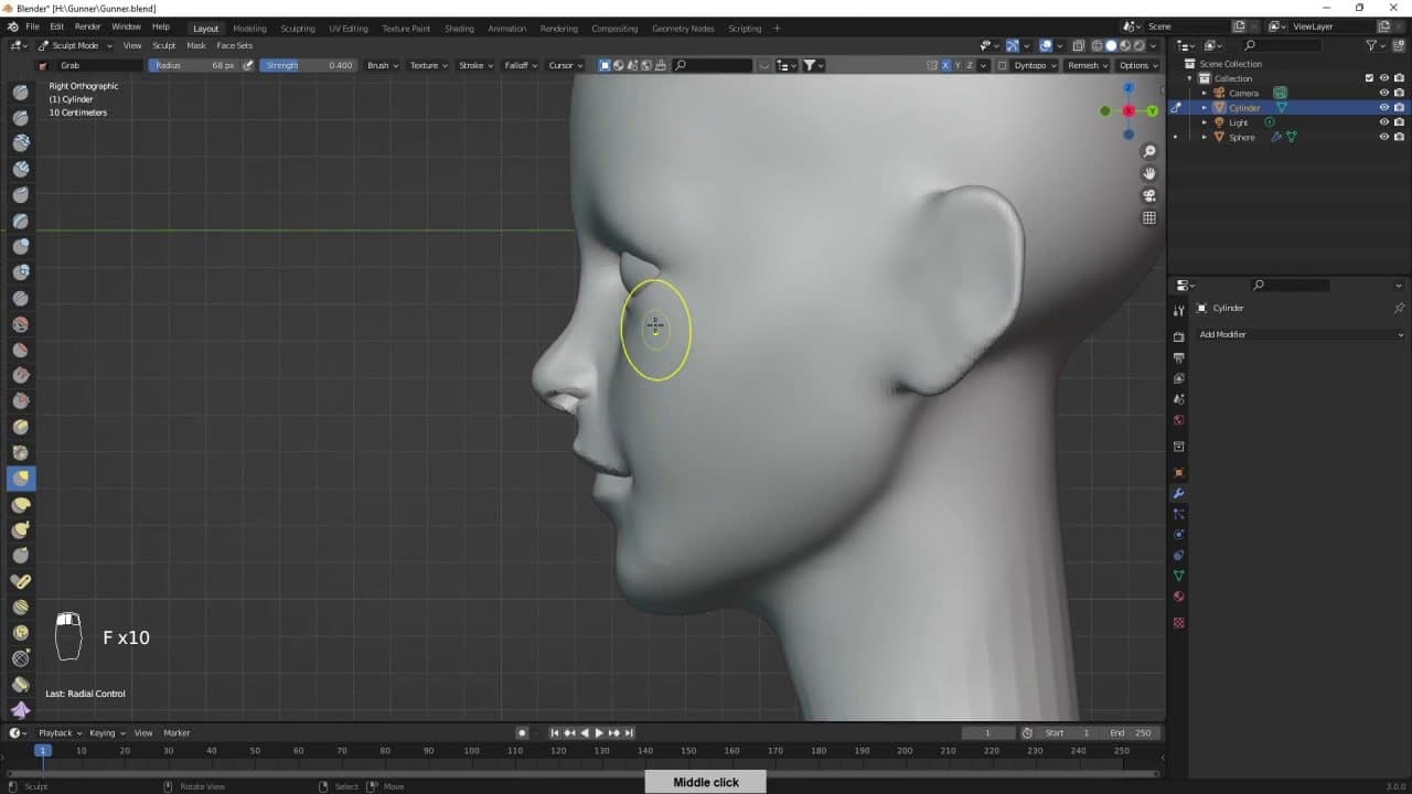 FlyCat – 3D Girl Modelling – Blender Download | Madbax