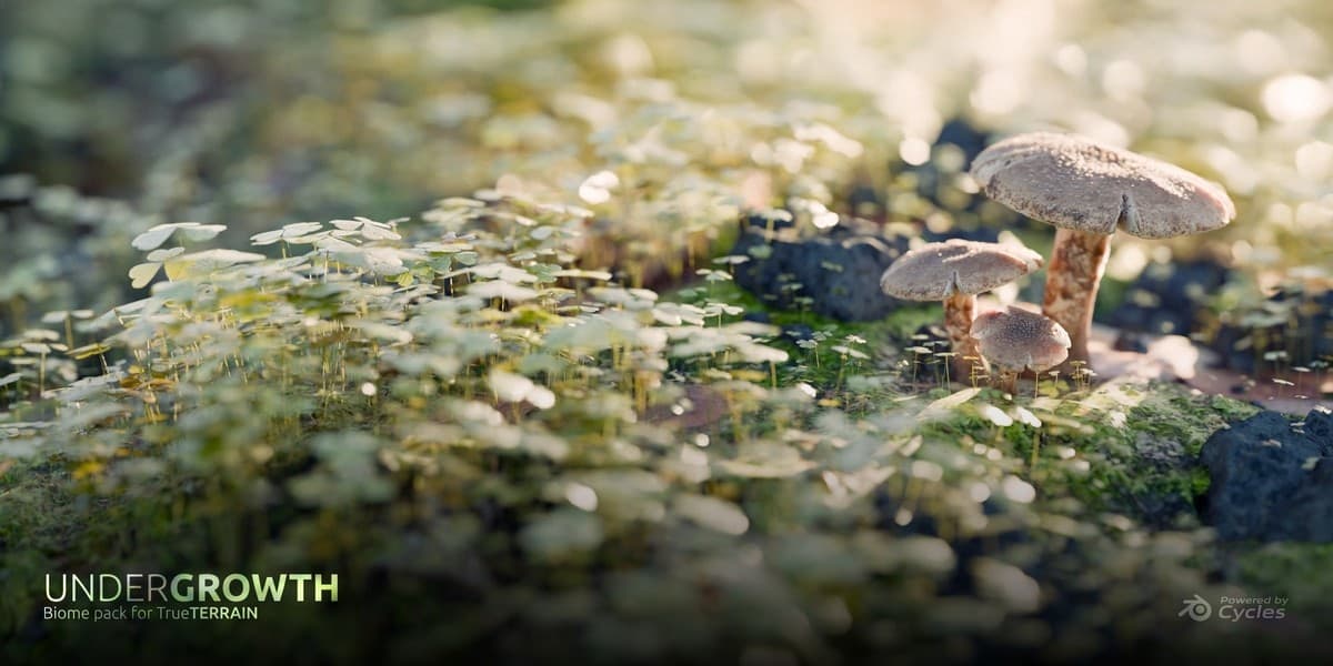 Undergrowth | Asset Library | 2K-4K-8K – Blender Download | Madbax