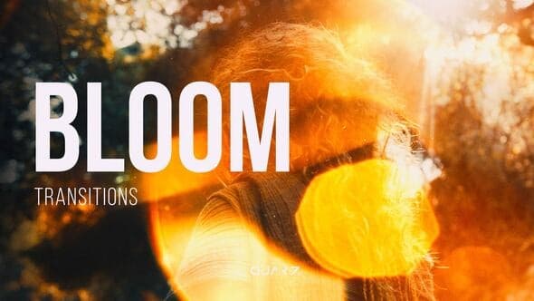 Bloom Transitions for After Effects – After Effects Download | Madbax