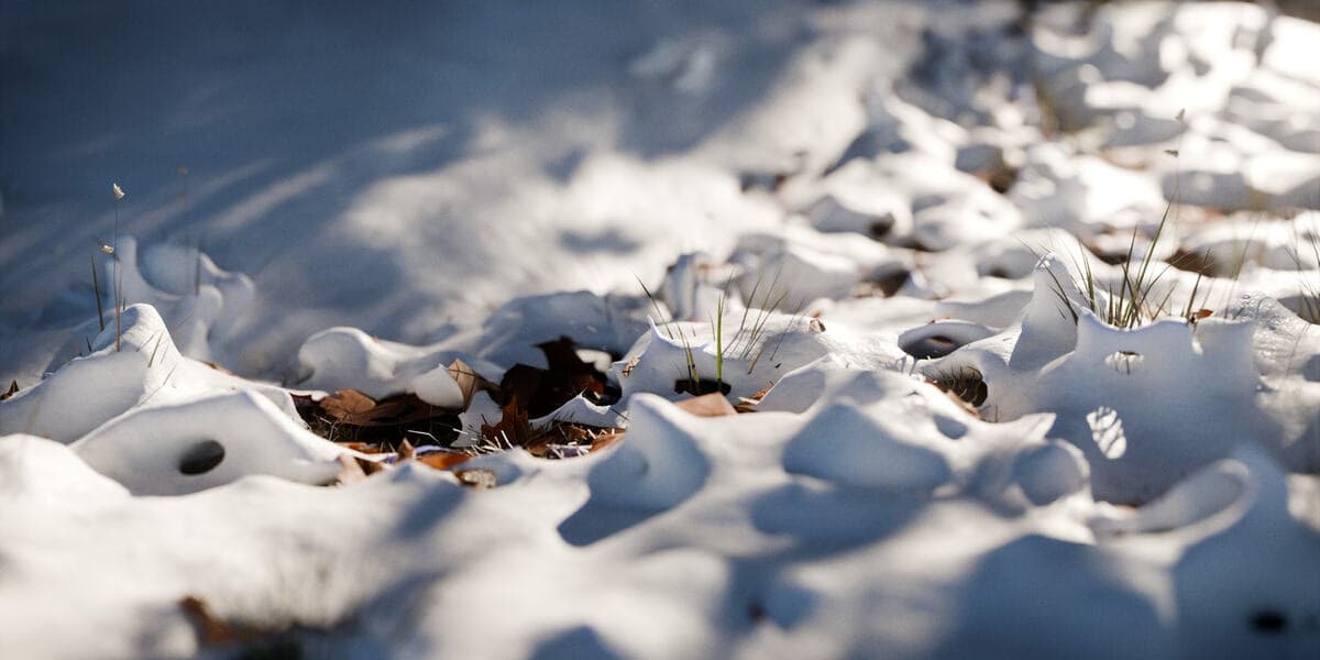Snow – Blender Download | Madbax