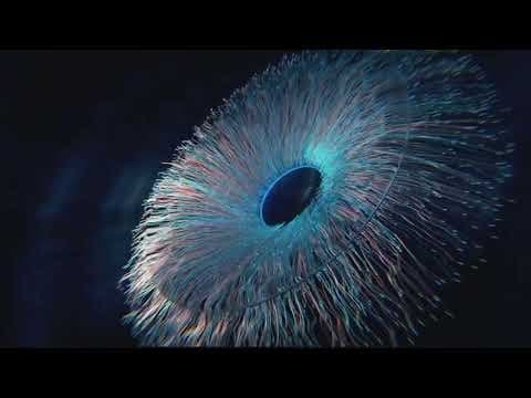 Eye Effect Using Geometry Nodes + Addon – Blender Download | Madbax