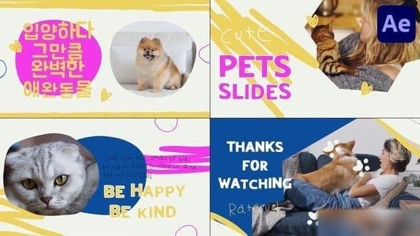Pets Slides | After Effects – After Effects Download | Madbax