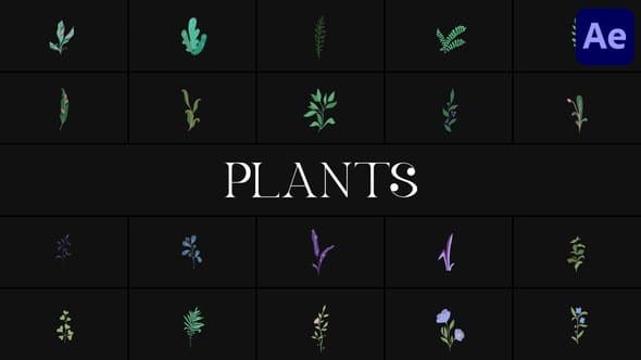 Plants for After Effects – After Effects Download | Madbax