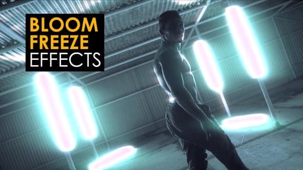 Bloom Freeze Effects | After Effects – After Effects Download | Madbax