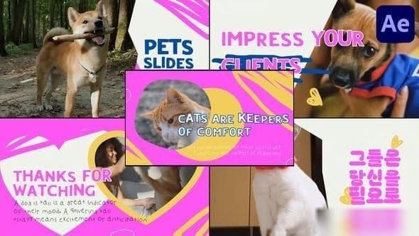 Slides Pets | After Effects – After Effects Download | Madbax
