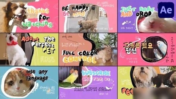 Pets Slides | After Effects – After Effects Download | Madbax