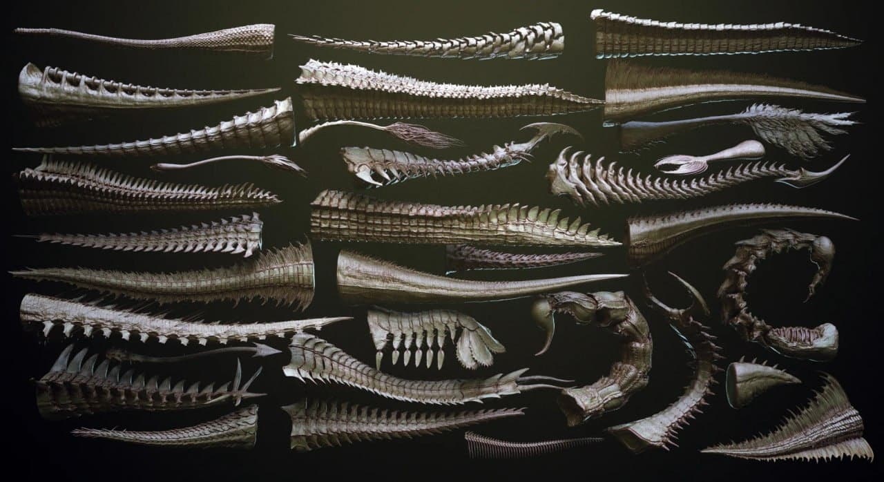 TAILS – 33 Tail Meshes & Curve Brushes – Blender Download | Madbax