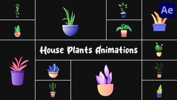 House Plants Animations for After Effects – After Effects Download | Madbax