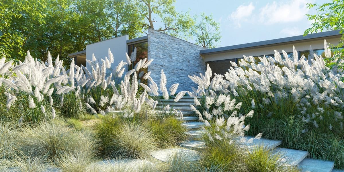 Maxtree – Plant Models Vol 139 – Blender – Blender Download | Madbax